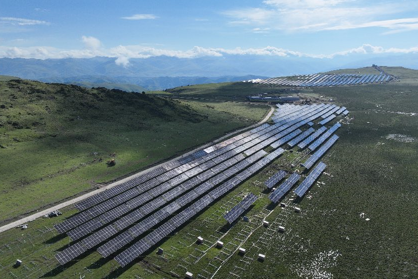 探訪海拔4000米光伏電站 “發(fā)電”“畜牧”如何兩不誤